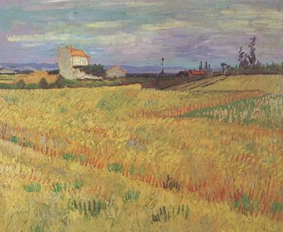 Vincent Van Gogh Wheat Field (nn04) China oil painting art
